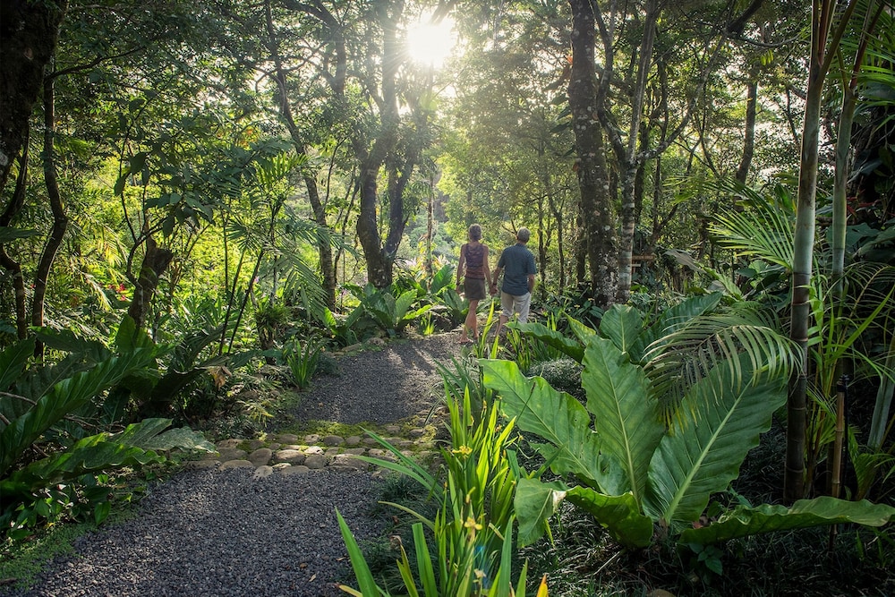 Monteverde Lodge and Gardens 47/50