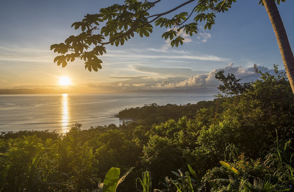 Lapa Rios Eco Lodge 44/50