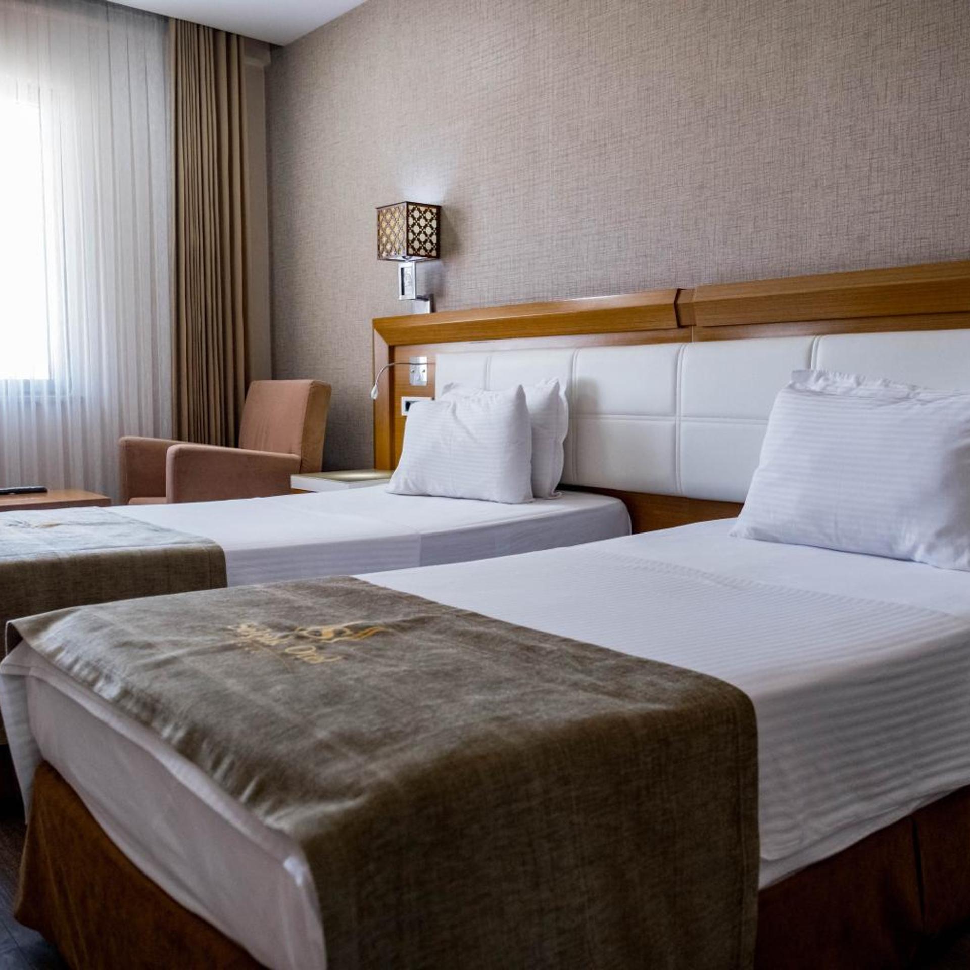 Standard, Single, Selcuk Hotel Sems I Tebrizi 21/22
