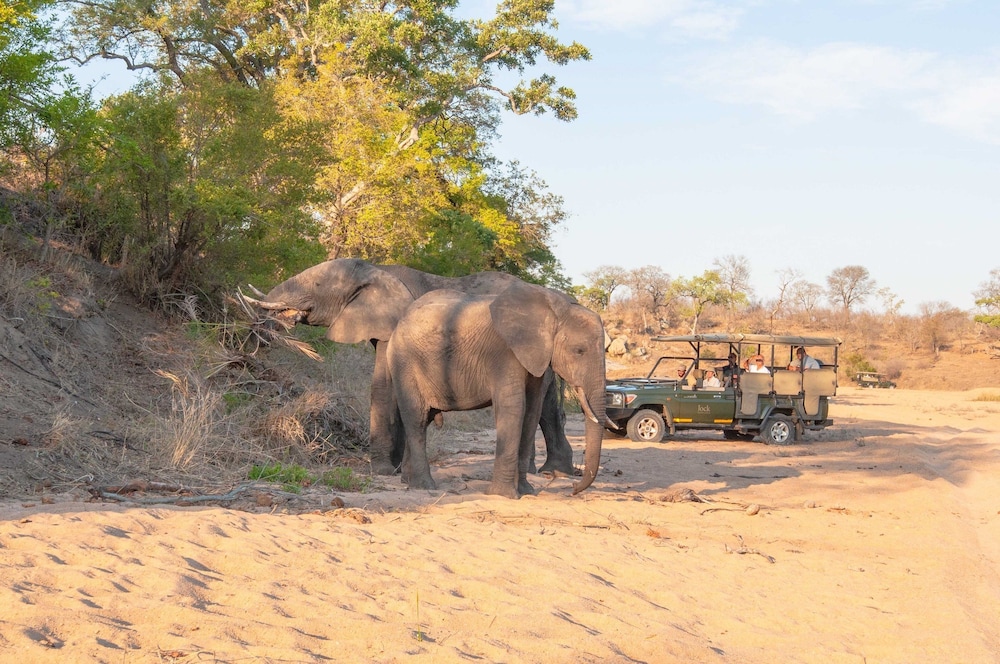 Jock Safari Lodge 8/56