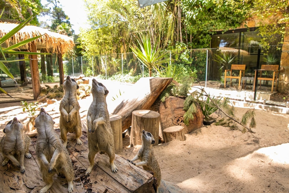 JAMALA WILDLIFE LODGE 37/50