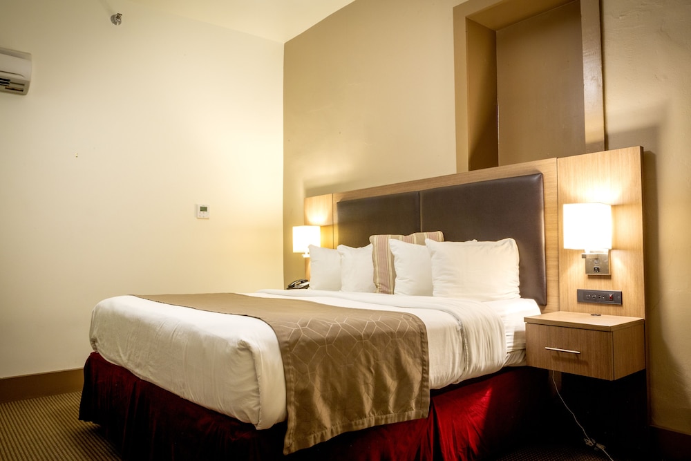 Hotel Arvon 19/50