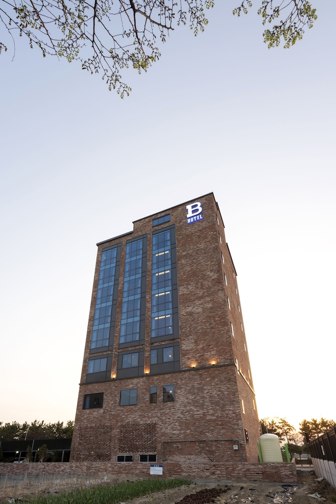 Brown-dot Hotel Sinho 3/38