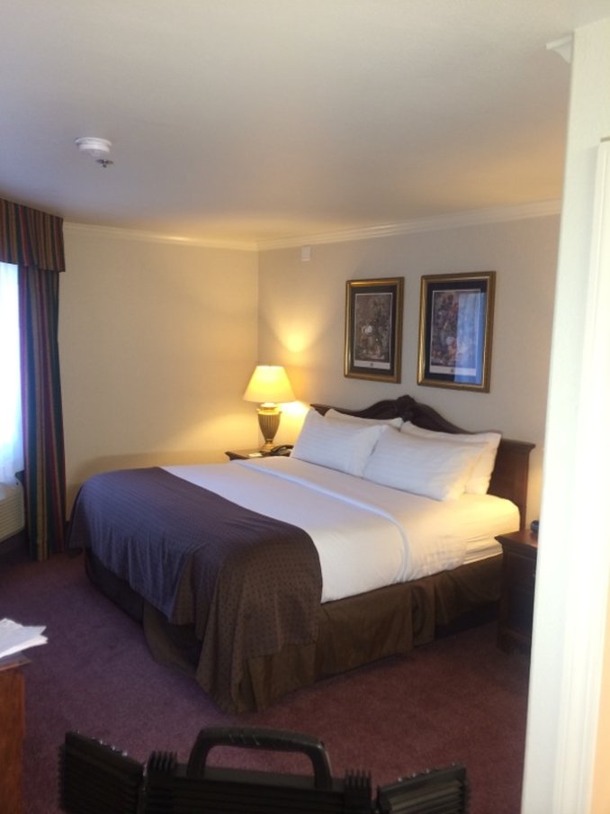 Holiday Inn Selma-Swancourt 16/65