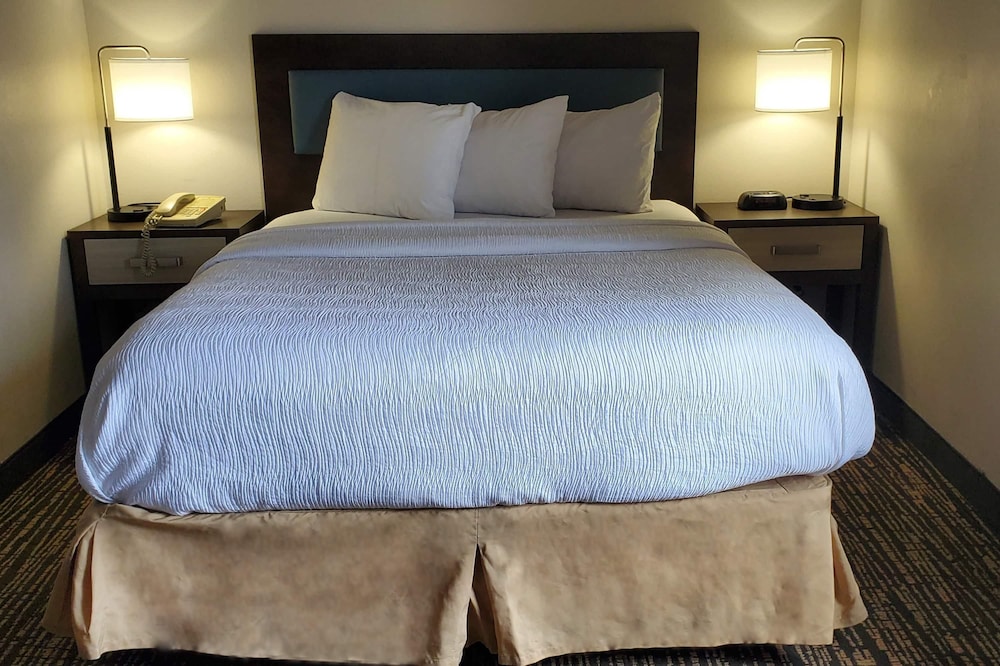 Suite, Double Bed