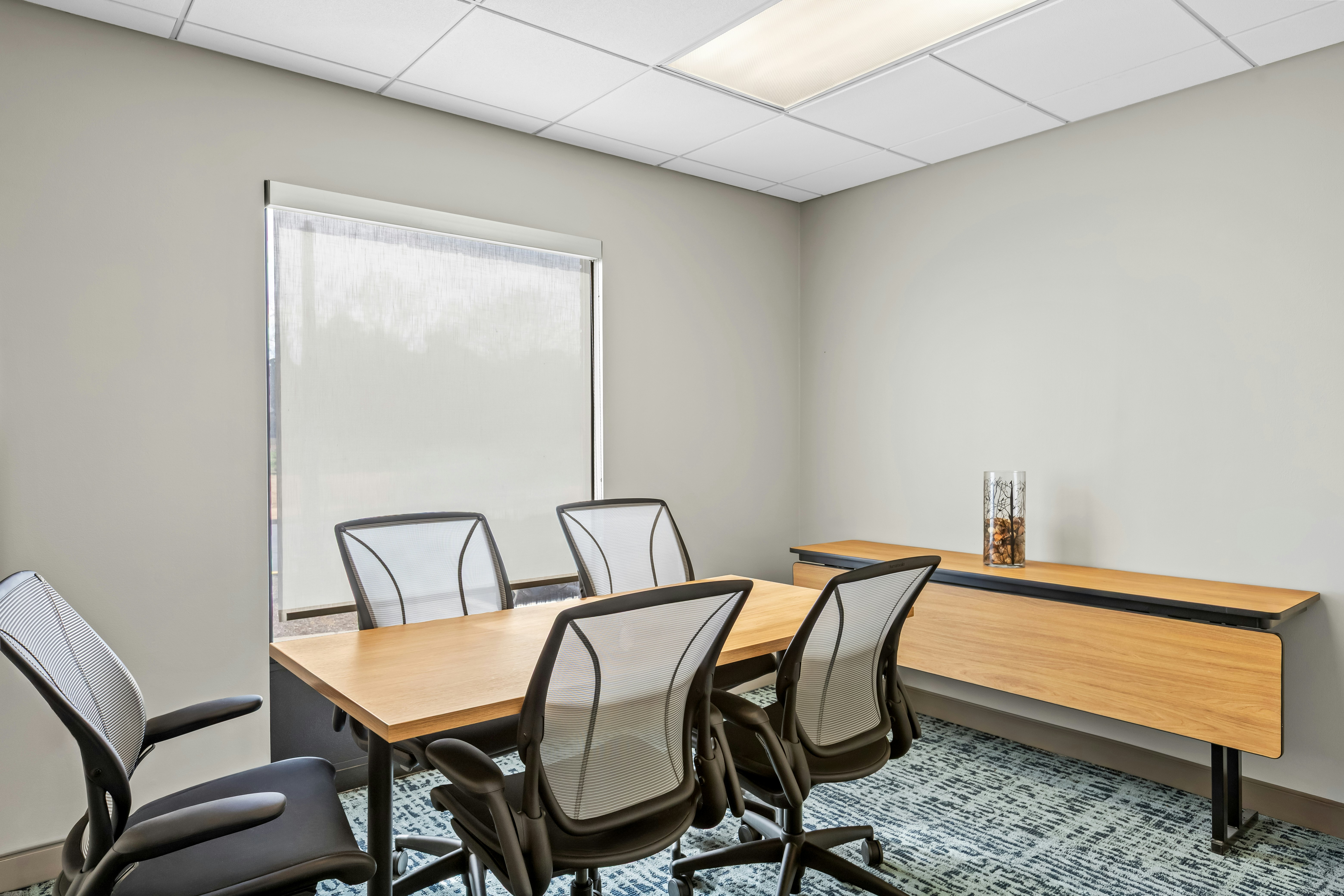 Hampton Inn Carrollton, GA 65/75