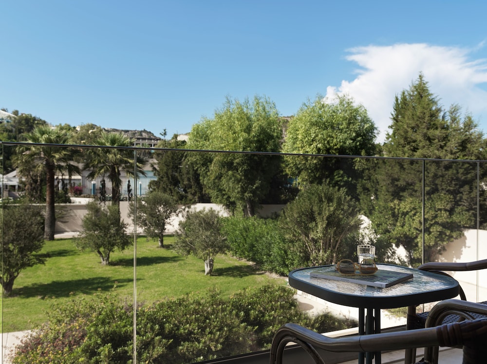 Esperos Palace Resort & Spa 47/50