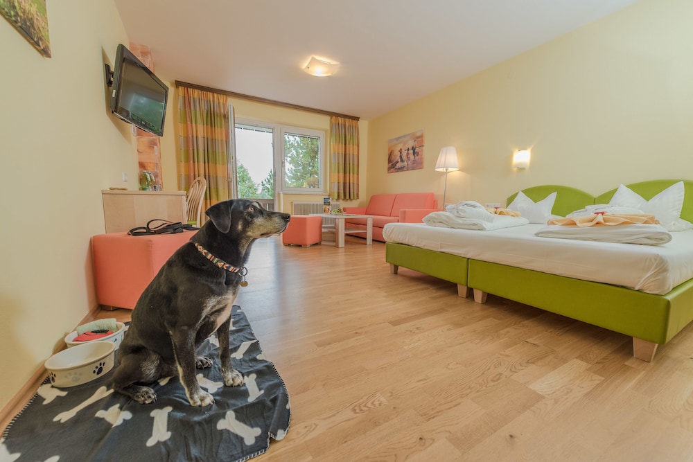 HOTEL ALMFRIEDEN 9/50