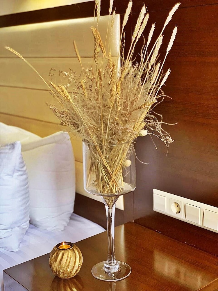 Hotel Orion Tbilisi 37/72