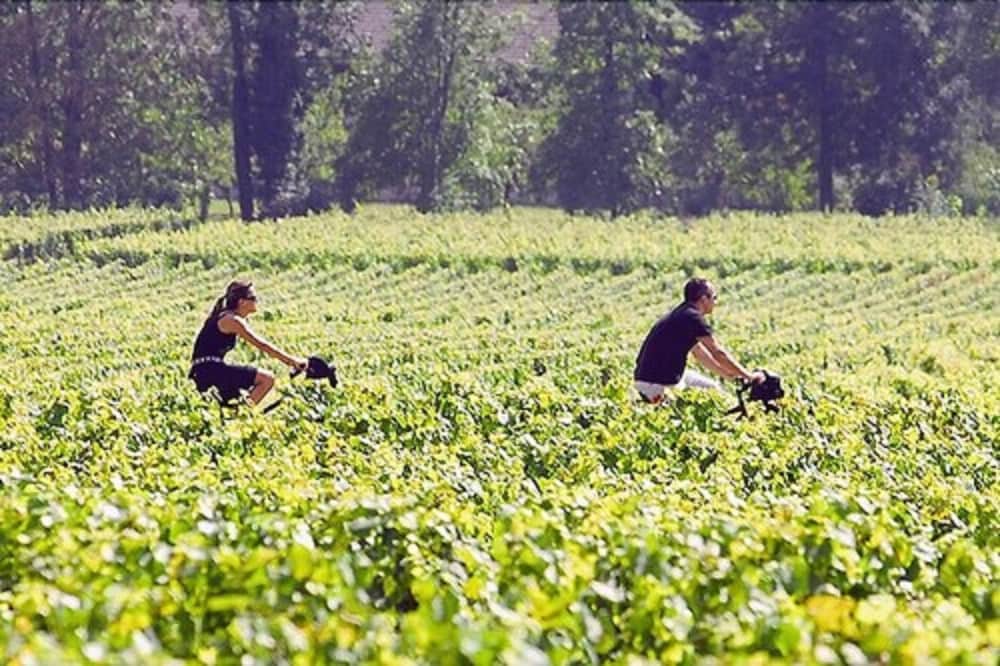 Les Sources de Cheverny 35/51