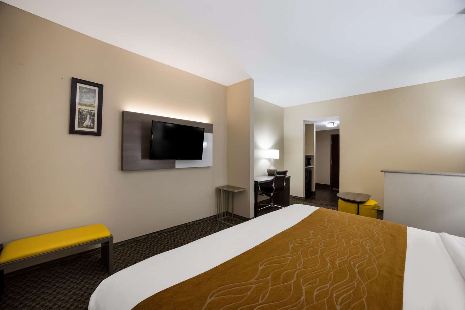 Suite, King Bed