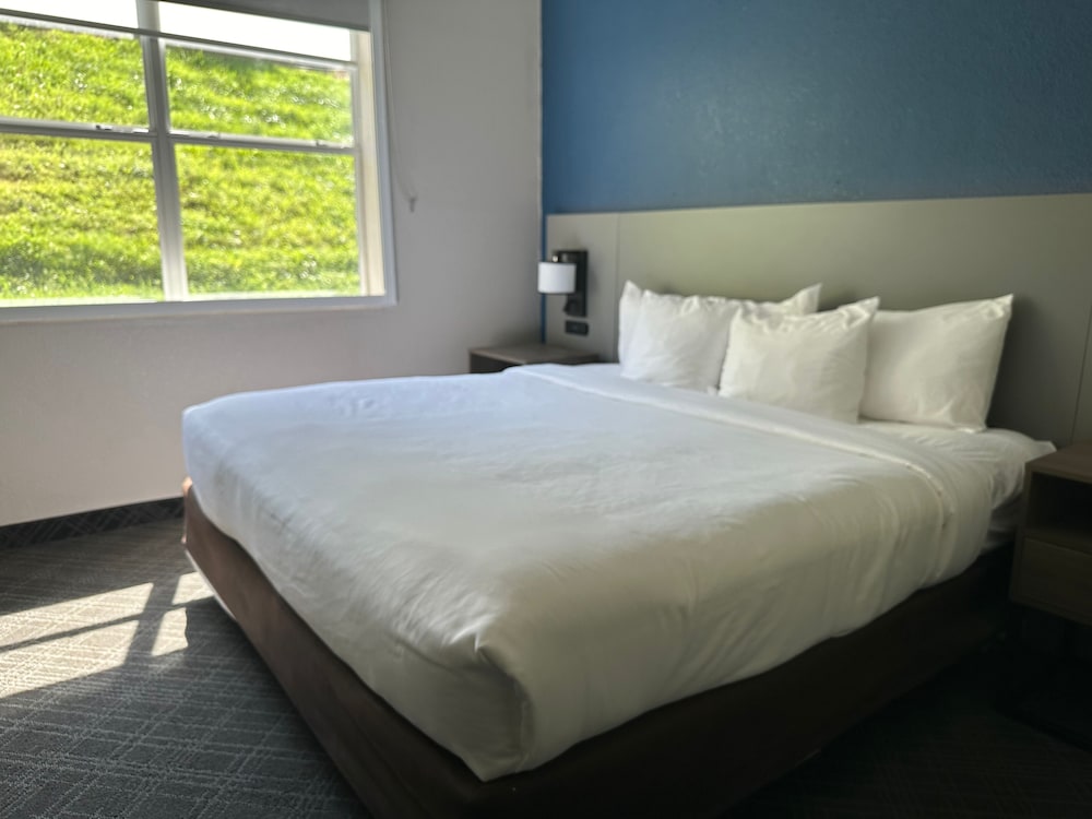 Comfort Inn and Suites Calhoun South 12/58