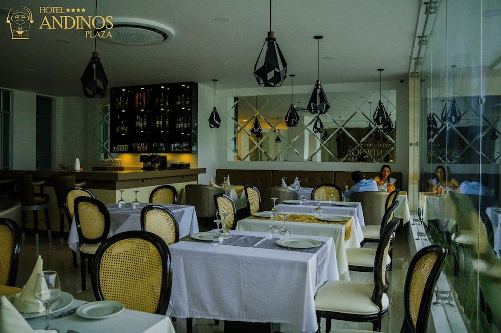 Hotel Andinos Plaza 37/48