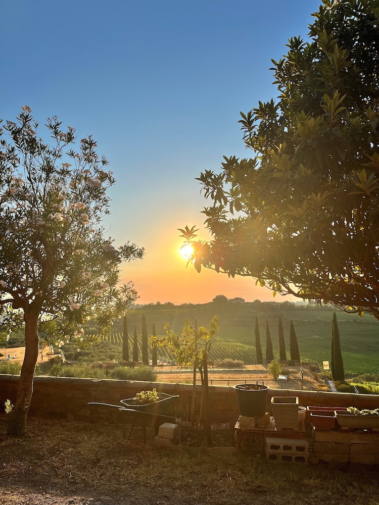 Laqua Vineyard 33/50