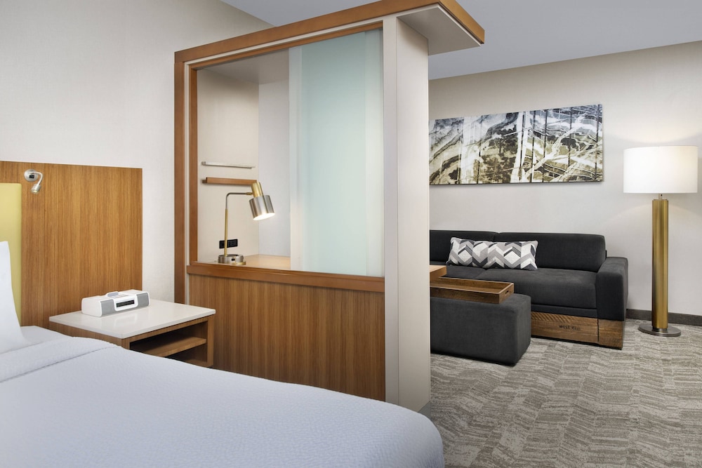 Springhill Suites By Marriott Potomac Mills Woodbridge 13/39