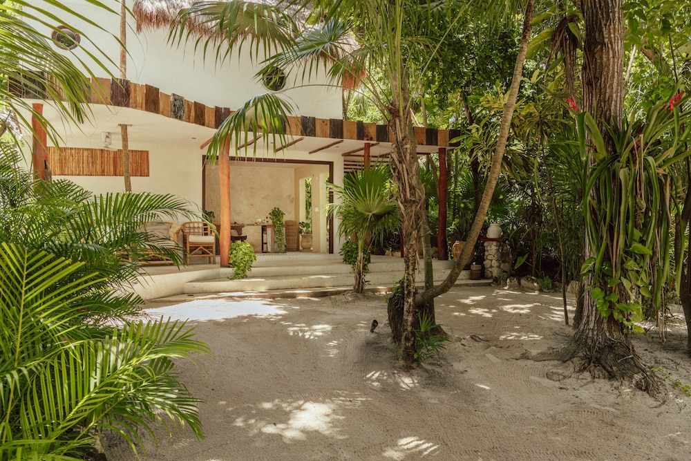 Hotel Dos Ceibas Eco Retreat Tulum 43/50
