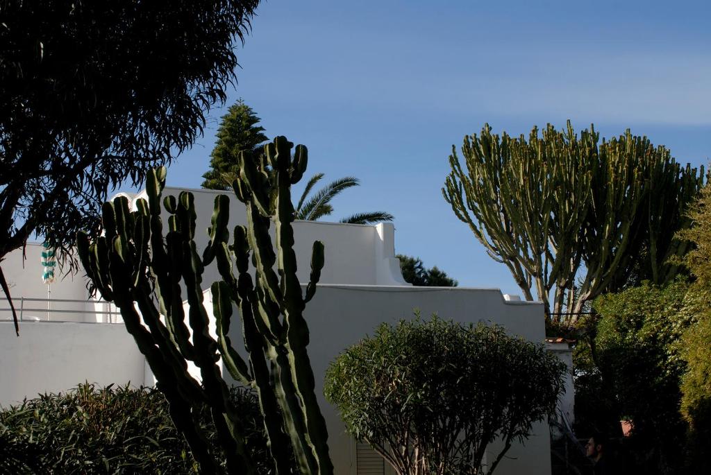 Hotel Terme Villa Teresa 14/19