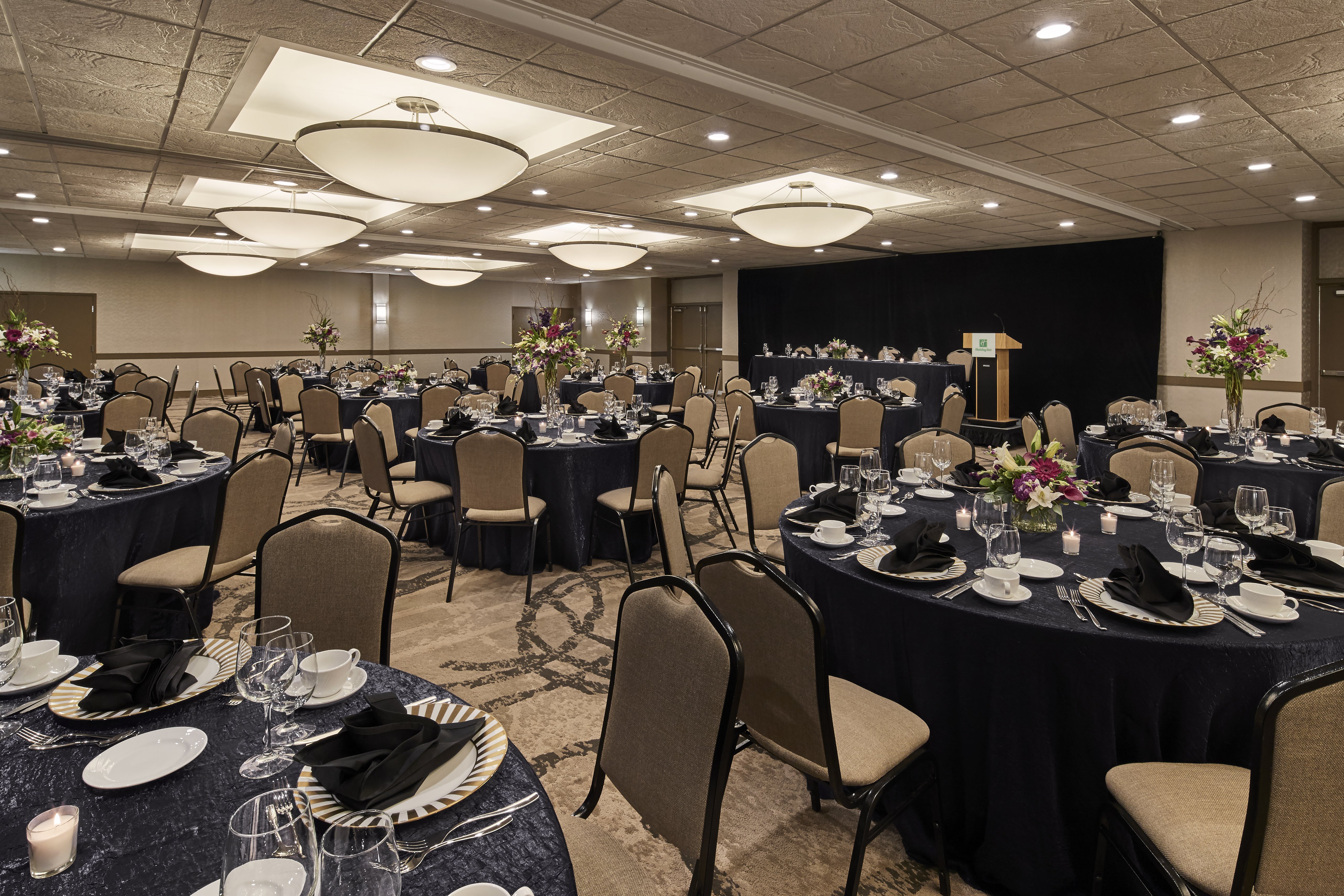 Holiday Inn Alexandria - Carlyle 46/51