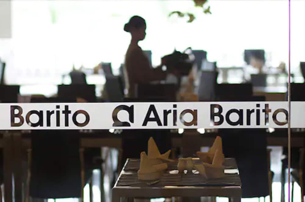 Aria Barito Hotel 2/48