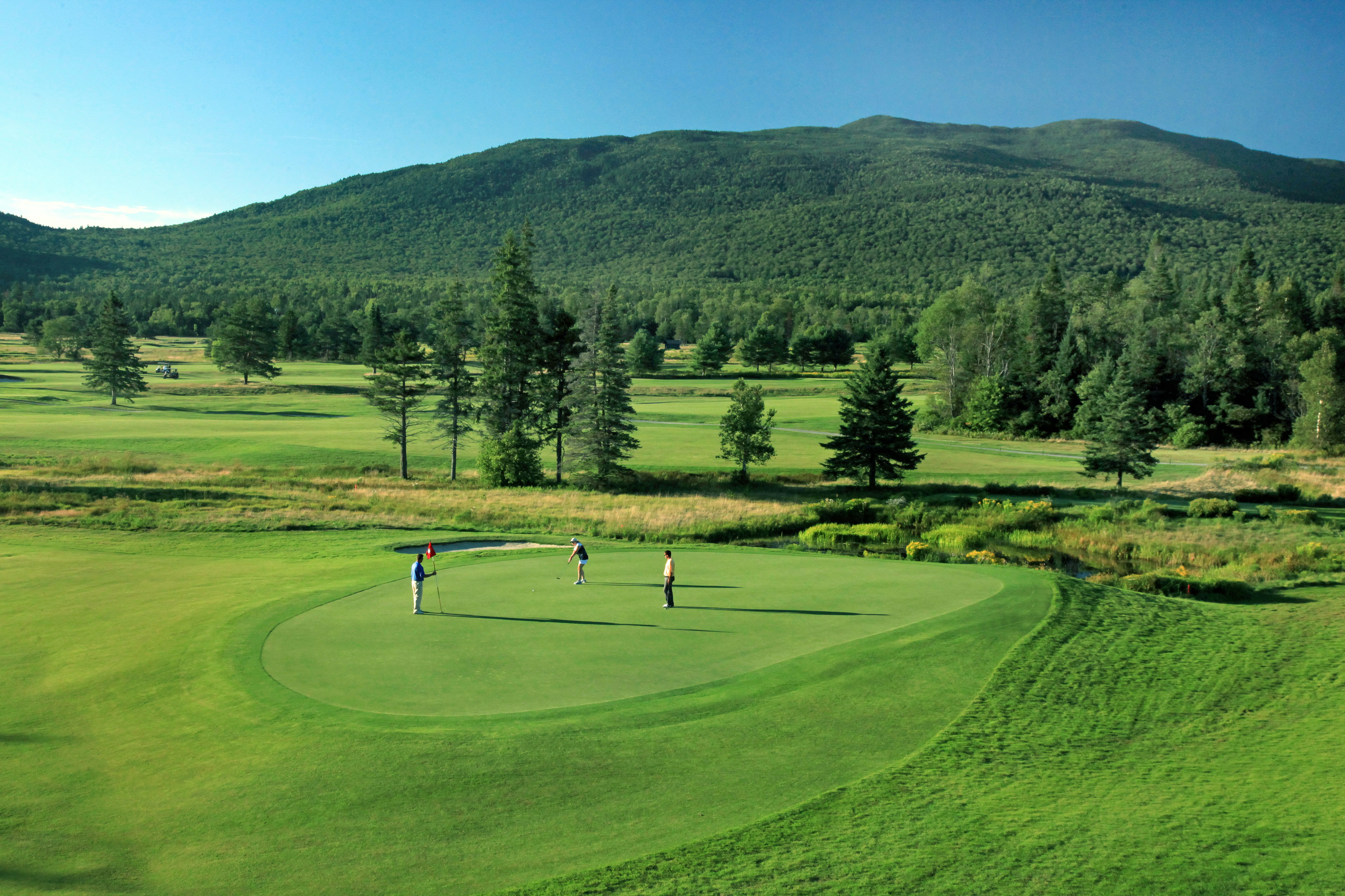 Omni Mount Washington Resort 71/113