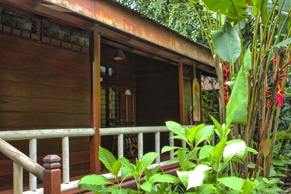 PACHIRA LODGE 7/65