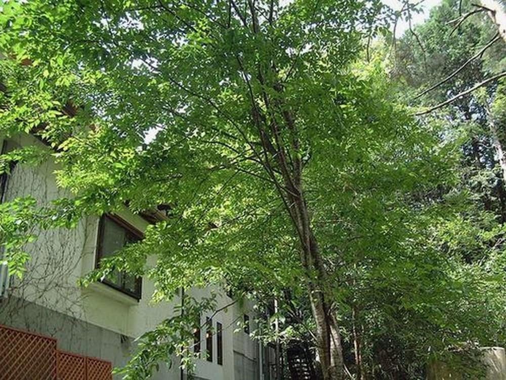 Auberge Hidanomori 42/50