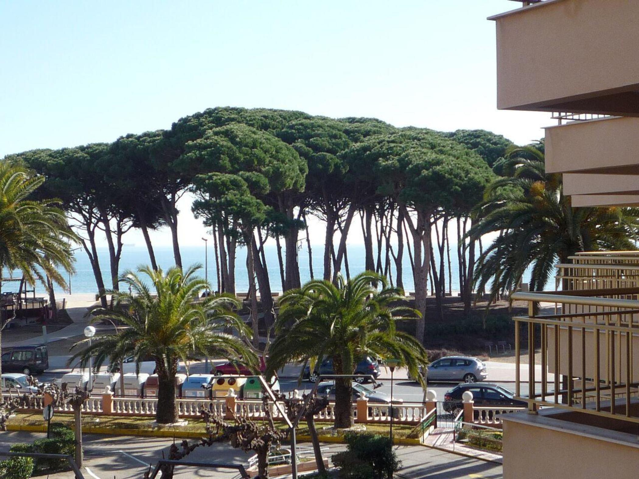 CYE 5 Rentalmar 18/20