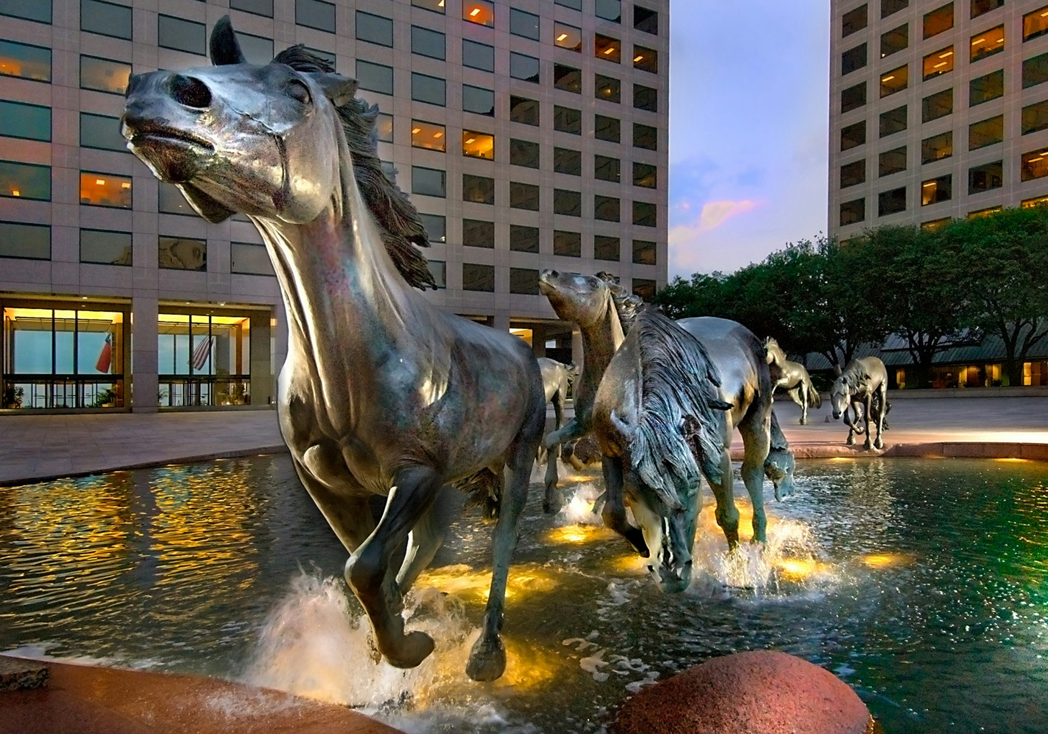 Hilton Garden Inn Dfw Airport South 73/74