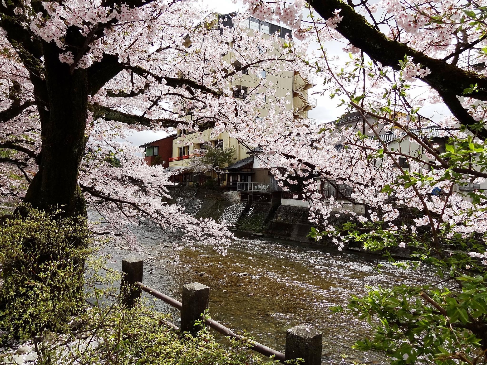 Spa Inn Oyado Iguchi 8/8