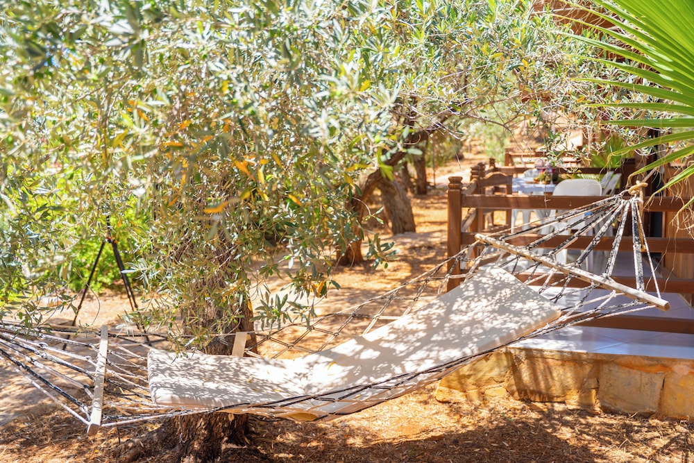 Olympos Mocamp Kas 36/47