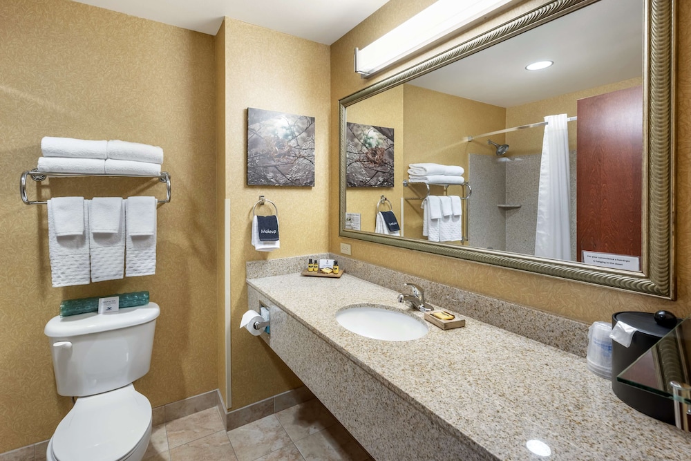 غرفة قياسية بسرير كينج لذوي الإعاقة، Best Western Plus Ponderay Mountain Lodge 2/2