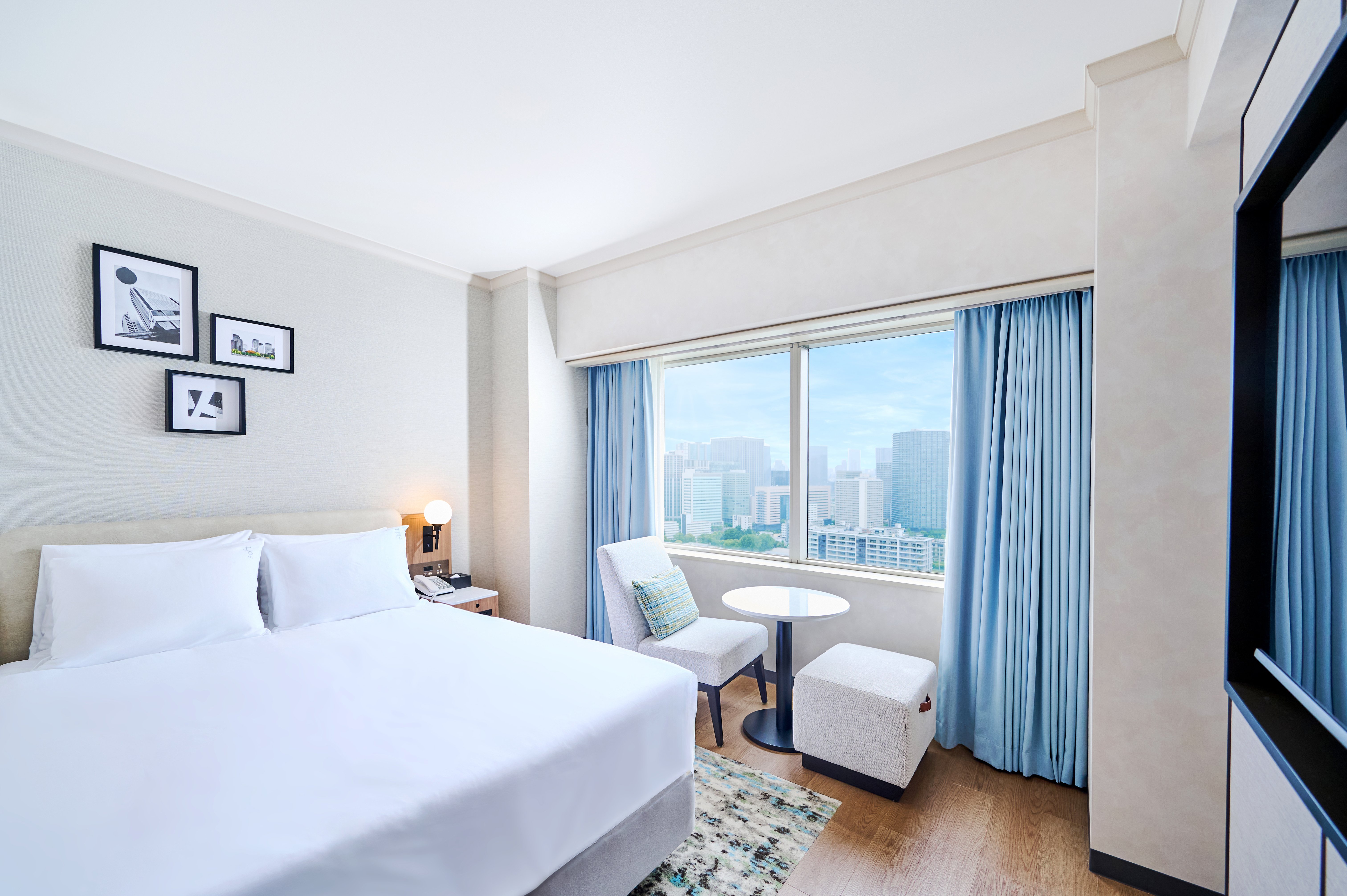 ANA Holiday Inn Tokyo Bay 16/50