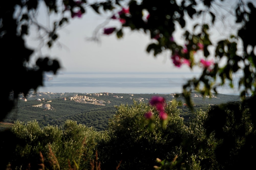 Elia Traditional Hotel & Spa 37/50
