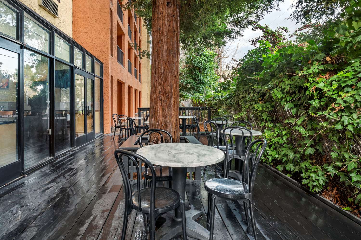 Wyndham Garden Newark/Fremont Silicon Valley 17/17