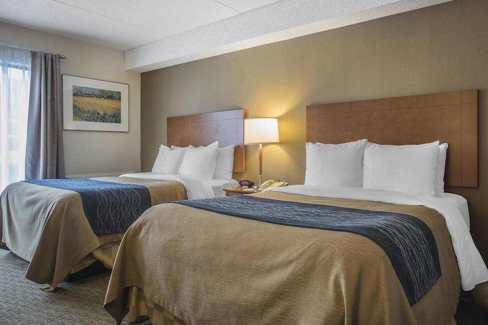 Comfort Inn Chilliwack, BC 16/44