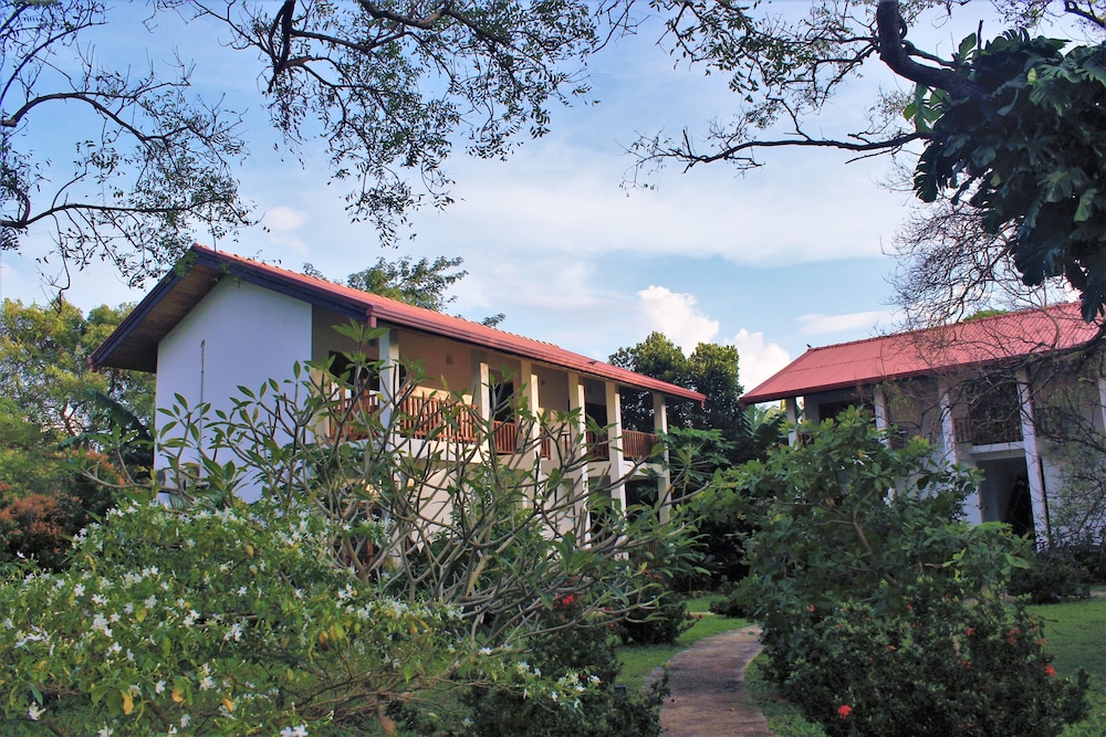 Blue Turtle Hotel 3/51