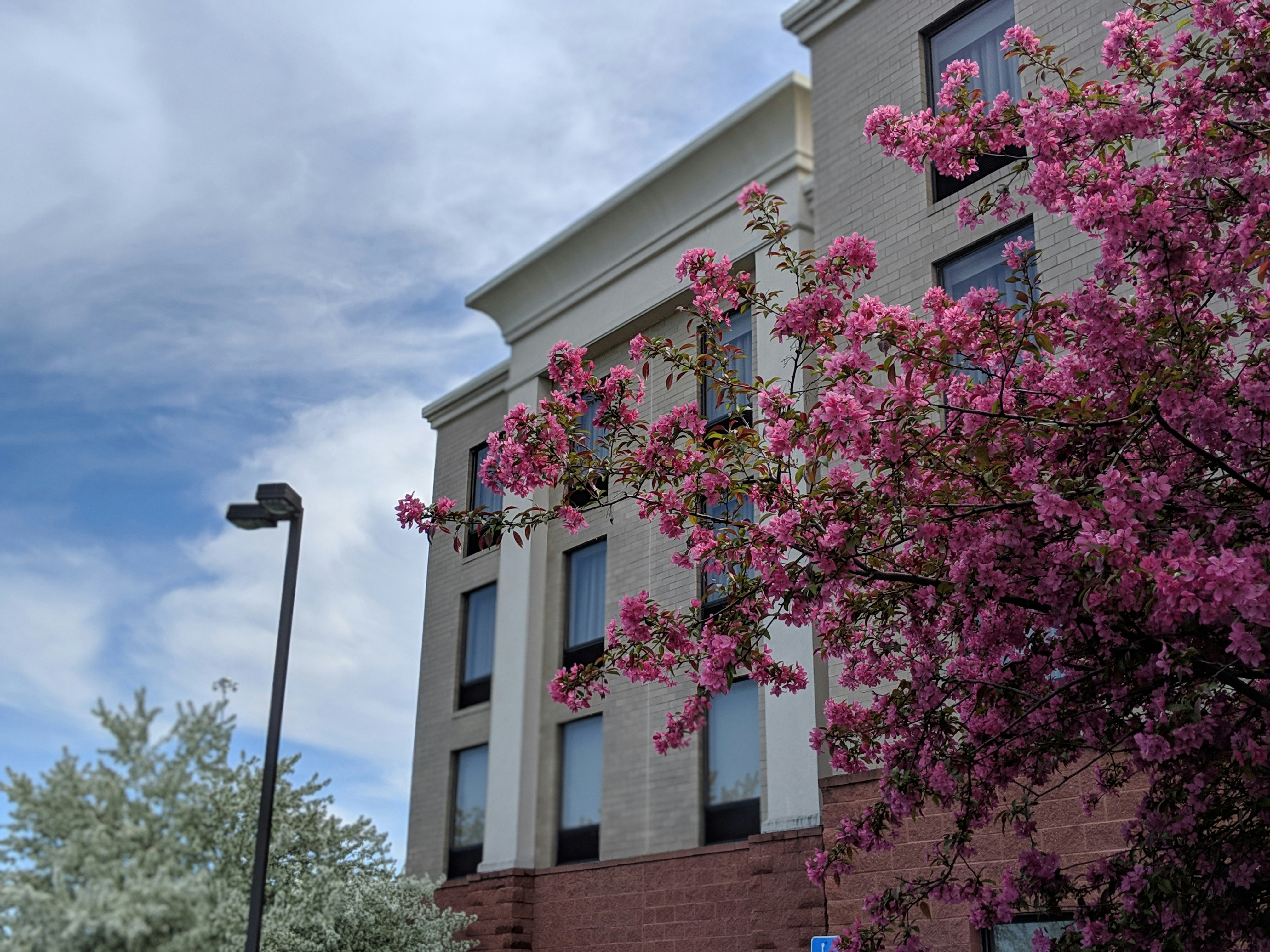 Hampton Inn Suites Cincinnati Union Centre Oh 2/45