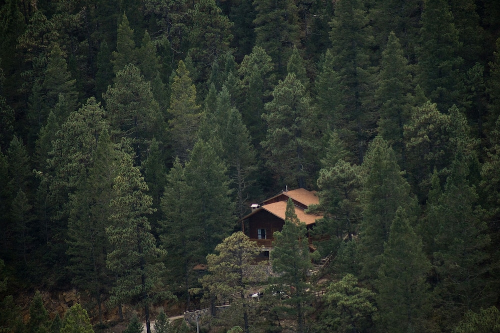 Bosques de Monterreal 66/70