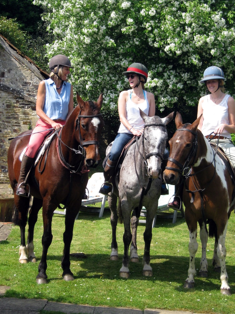 Hollamoor Farm B&B 38/50