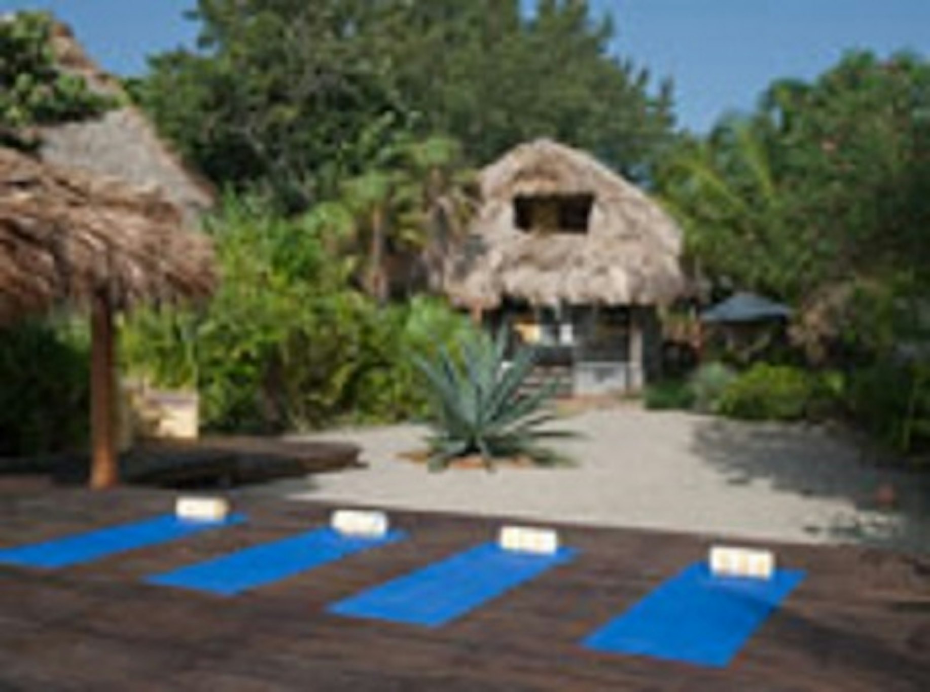 Turtle Inn 5/6