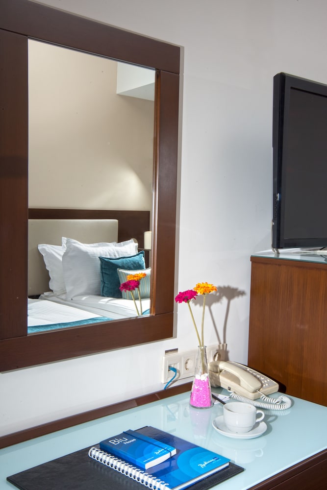 RADISSON BLU HOTEL ANKARA 19/72