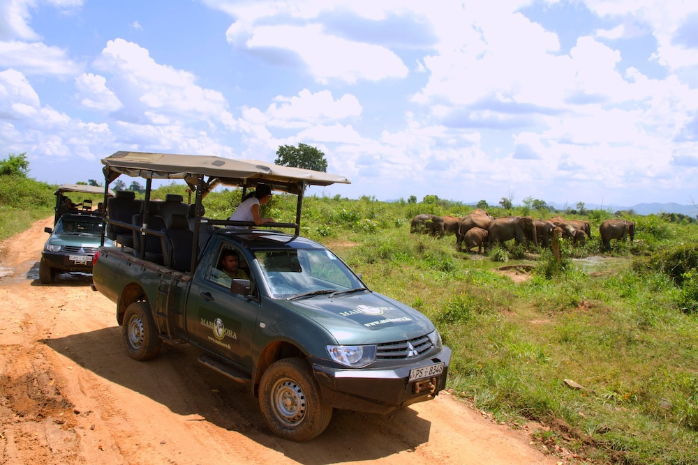 Mahoora Tented Safari Camp Udawalawe 30/50