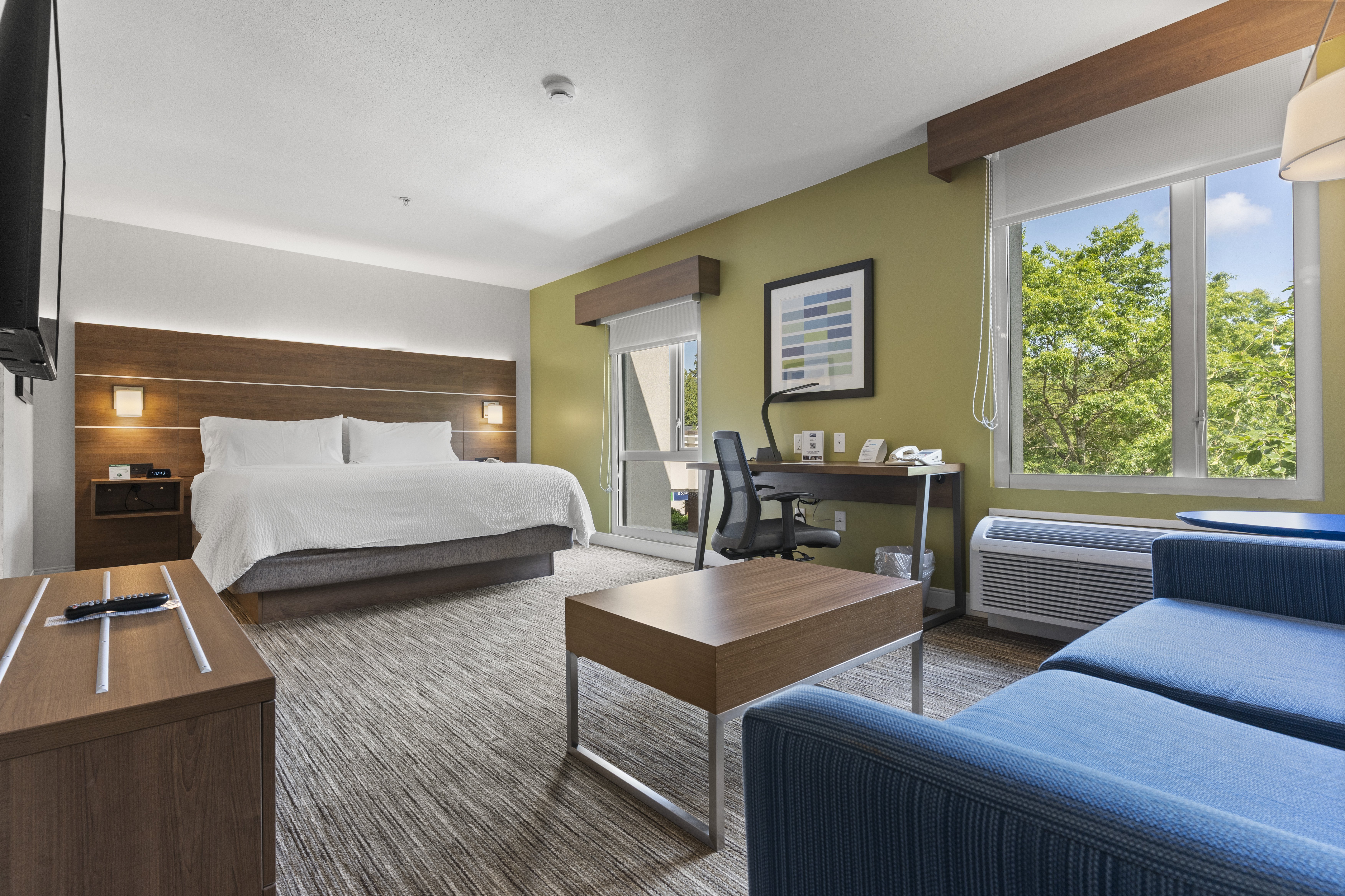 Holiday Inn Express Suites Surrey 17/50