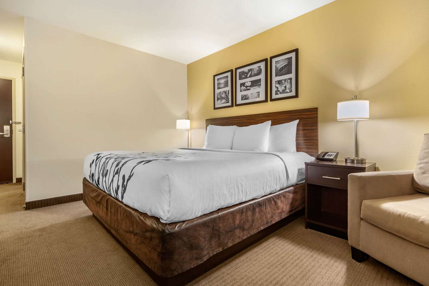 Room, King Bed