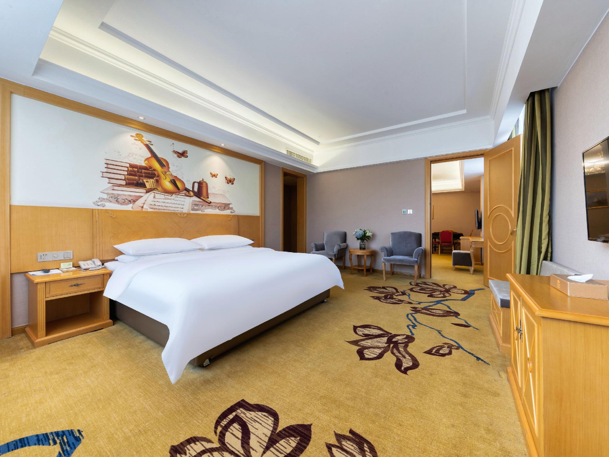 Vienna Hotel (Chongqing Rongchang Binhai) 15/25