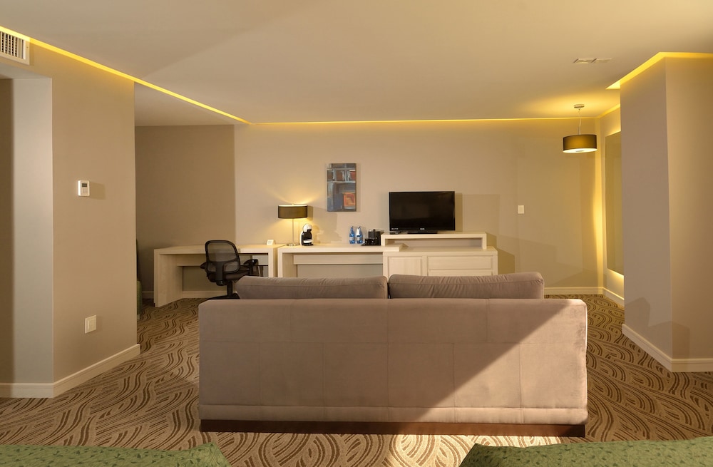 Holiday Inn Express Pachuca 25/57