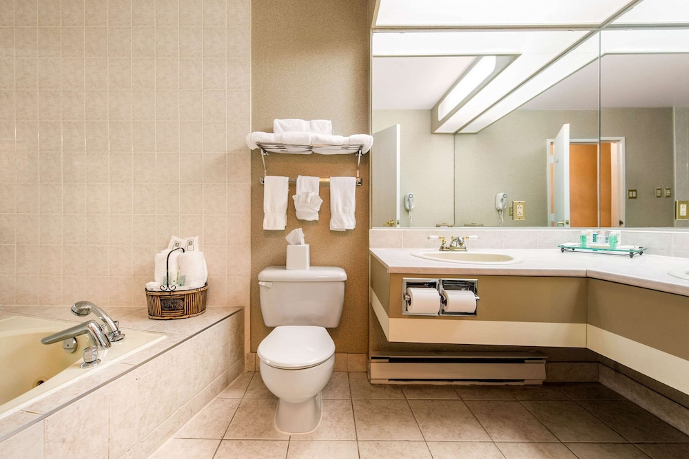 Quality Inn & Suites Gatineau 18/42