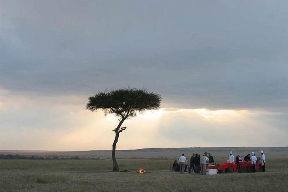 Mara Intrepids Tented Camp 38/49