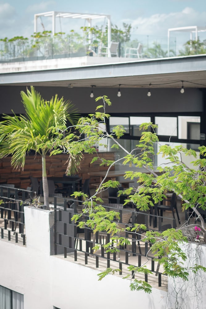 Sunday Hotel 52 at Playa del Carmen 6/50