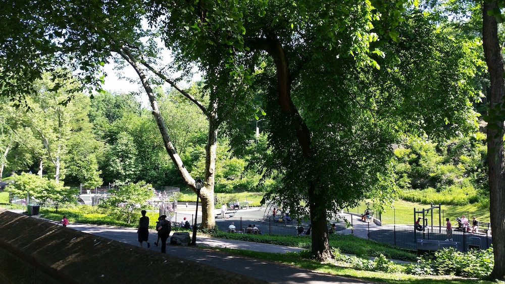 The Central Park North 58/66